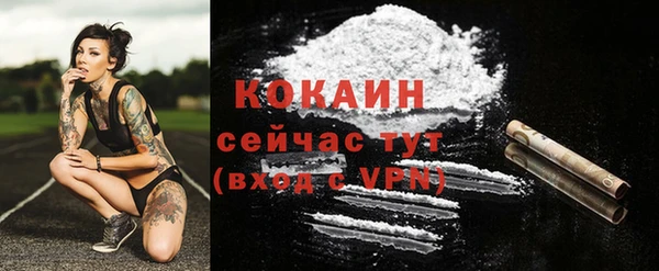 кокс Тайга