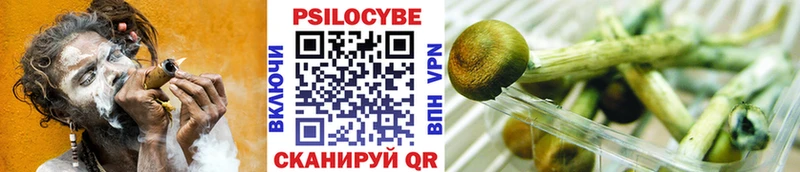 Галлюциногенные грибы MAGIC MUSHROOMS что такое наркотик Нижние Серги